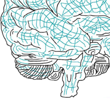 Curso de Potenciales Evocados