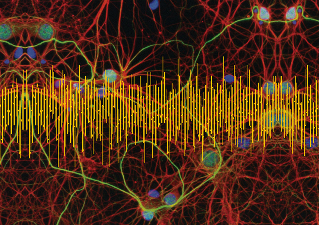 Challenges of Electroencephalography in the 21 Century